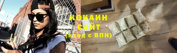 прущие грибы Абинск