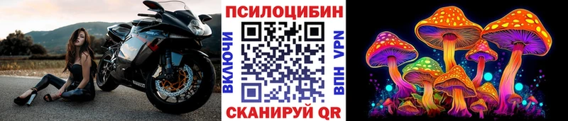 Псилоцибиновые грибы Cubensis  цена   Дербент 